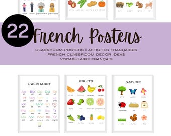 French Vocabulary Posters - Affiches en Français for FSL Classrooms • Printable Decor & Picture Dictionary Resource