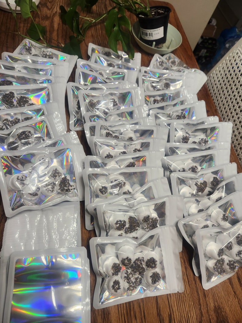 May include: Multiple small white bags with a silver iridescent finish, each containing a small amount of dried lavender buds.