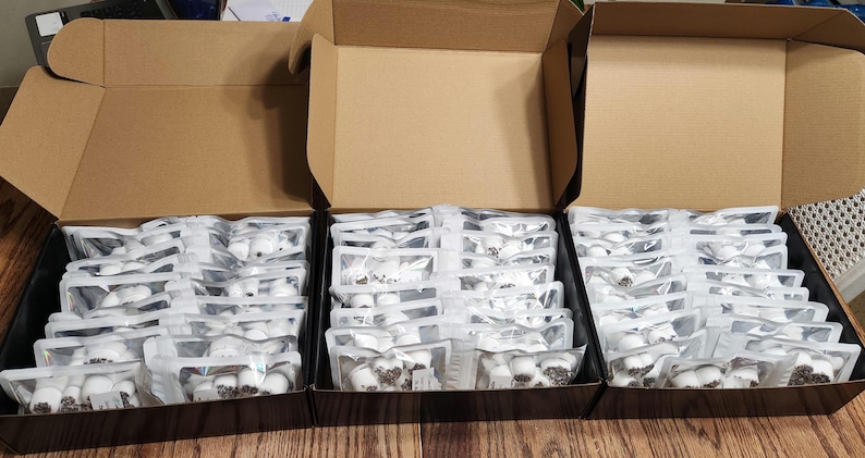 May include: Three cardboard boxes filled with individually packaged white items. The boxes are open and the items are visible.
