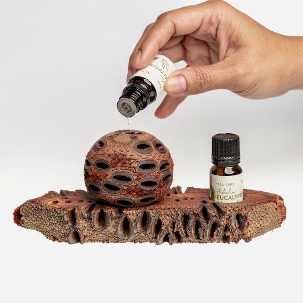 Mothers Day Gift, Handcrafted Essential Mini Banksia POD + OIL STAND + Essential,Elevate Your Banksia Aroma Pos with Style.