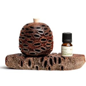 Banksia Aroma Pod Diffuser Set: Australian Eucalyptus Oil, Handmade Stand