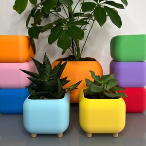 May include: A selection of brightly coloured planters in shades of orange, blue, yellow, pink, green, purple, and red. Each planter is square with rounded corners and wooden feet, containing different plants. Metric measurements.