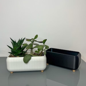 Op de afbeelding: Twee rechthoekige plantenbakken met houten poten. Een plantenbak is wit en bevat twee groene vetplanten. De andere plantenbak is zwart en leeg.