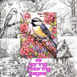 Spring Themed Coloring Book, 25 Pages Adults + kids- Download - Grayscale Coloring Pages - Gift, adult and children coloring, Printable PDF