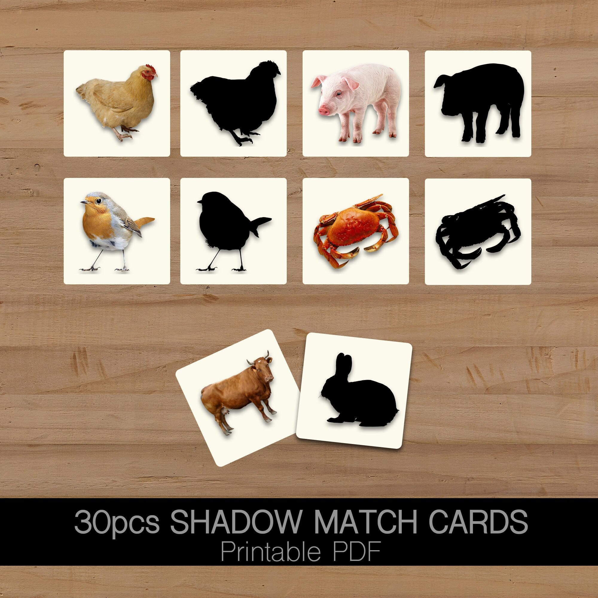 Animal Shadow Match Card - Etsy Denmark