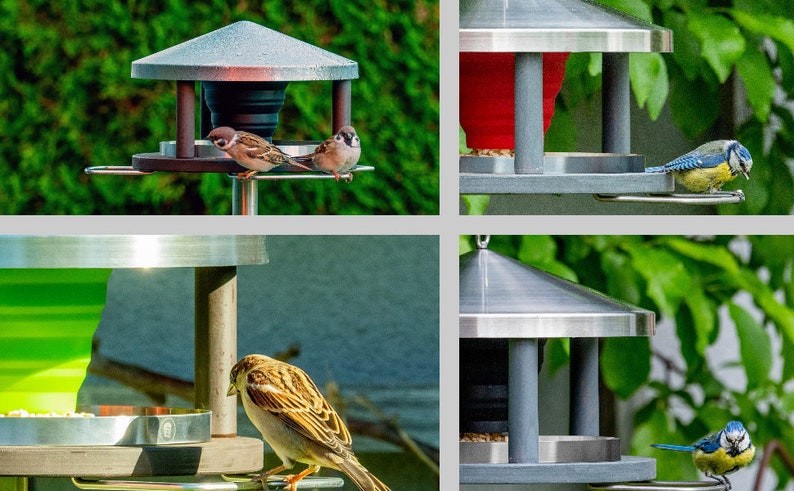 LicusDesign Edelstahl Vogelhaus zum Aufhängen wetterfest Vogelfutterhaus hängend Vogelfutterspender Futterhaus Vögel Vogelhäuschen Bild 6