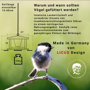 LicusDesign Edelstahl Vogelhaus zum Aufhängen wetterfest Vogelfutterhaus hängend Vogelfutterspender Futterhaus Vögel Vogelhäuschen Bild 5