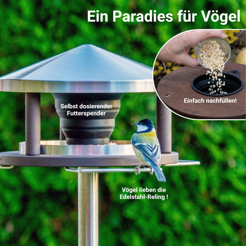 LicusDesign Edelstahl Vogelhaus mit Ständer wetterfest Hochwertiges Vogelfutterhaus Vogelhäuschen Vogelfutterhäuschen Futterhaus Vögel Bild 2