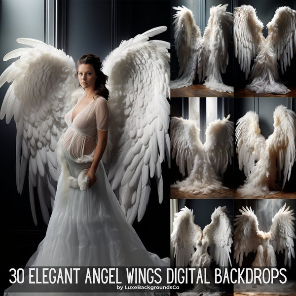 30 Elegant Angel Wing Backdrop, Maternity Backdrop, Heavenly Backdrop, Studio Backdrops, Photoshop Fine Art Textures, Maternity Photo Shoot