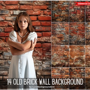 May include: A collage of 14 different brick wall textures. The brick walls are in various shades of red, brown, and gray. Some of the walls have visible mortar, while others have cracks and chips. The walls are all in a rough, weathered style.