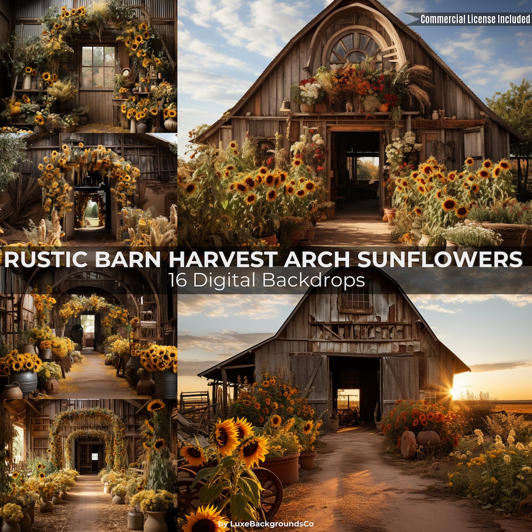 16 Barn Harvest Photo Backdrop,sunflower Backdrop,wedding Backdrop ...