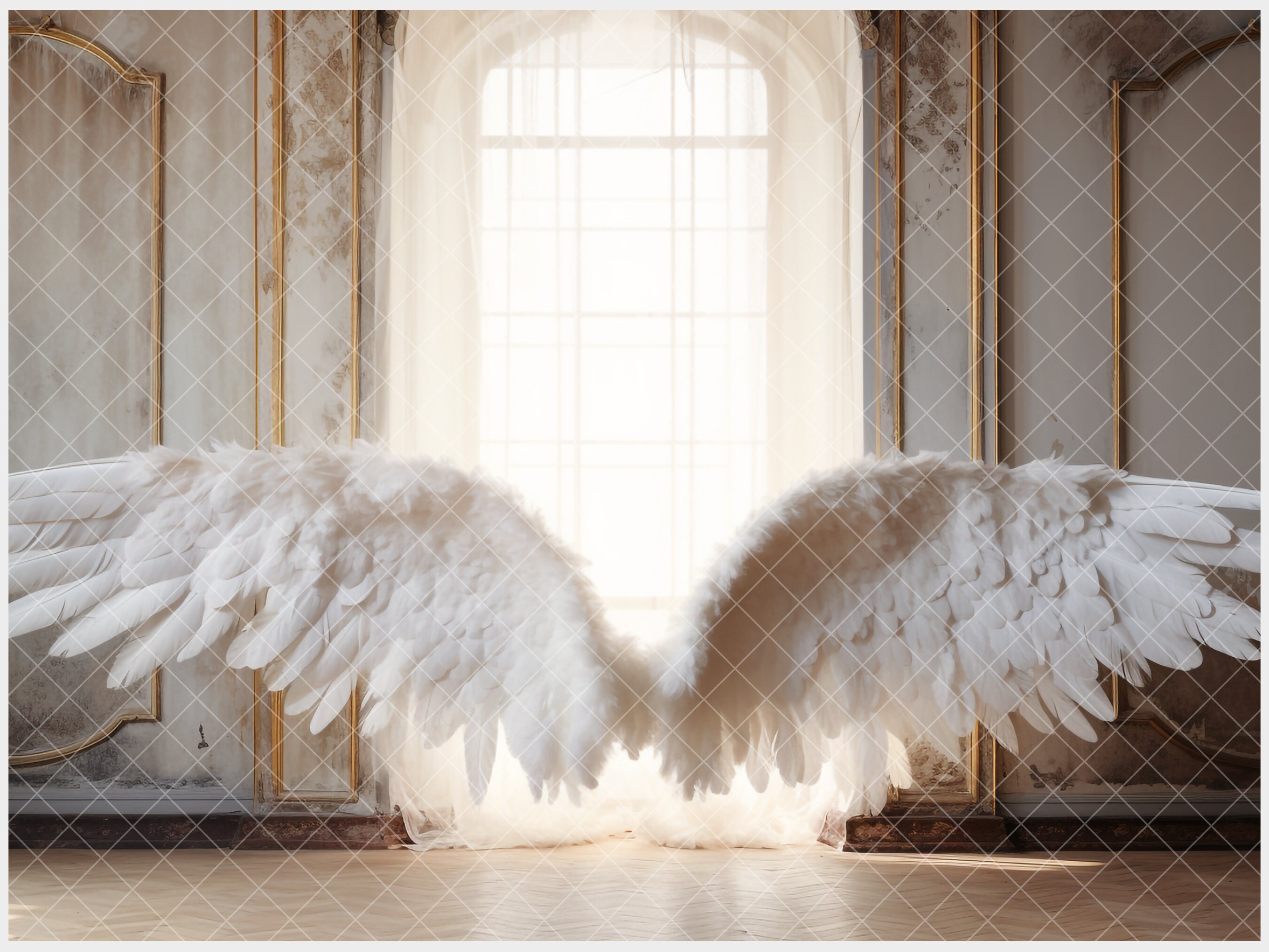 10 White Angel Wings Digital Backdrop, Photoshop Fine Art Textures ...