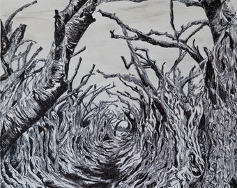 Stumped olive trees .Black on white marker. Mysterious painting.Unique art