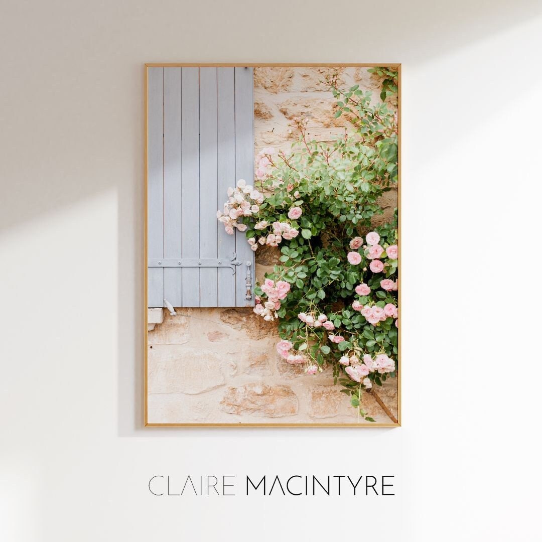 Provence Pink Roses Photography Print, French Wall Art - Etsy
