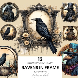 Gothic Ravens aquarel clipart, vintage kraaien, antieke zwarte vogel, donkere raaf beelden, mysterieuze heks vogel graphics, instant digitale png