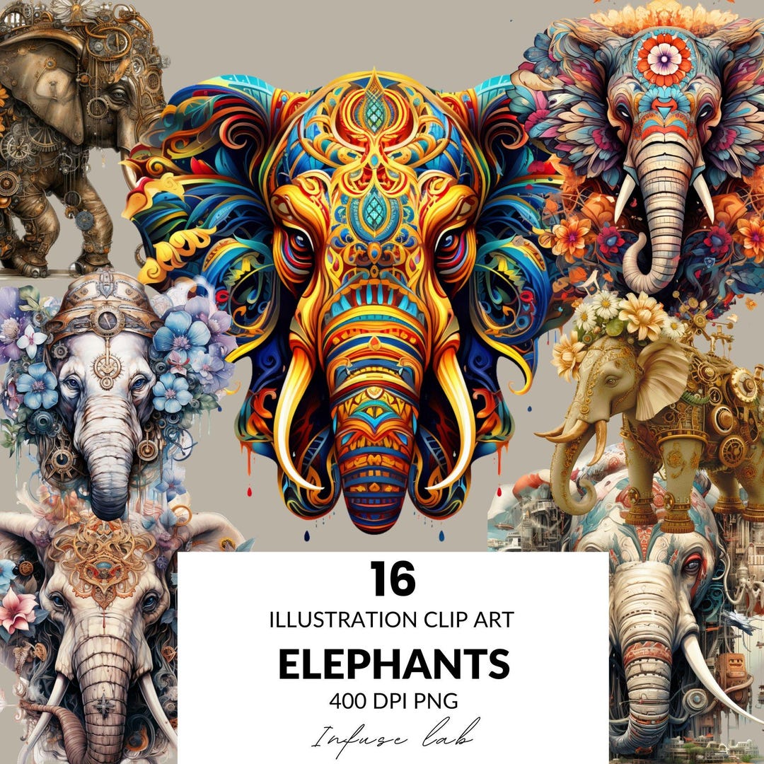 Elephant Clipart PNG, Elephant Images, 16 Elephant Animal Bundle ...