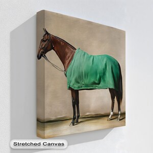 Equestrian Horse Portrait Canvas Art: Green Blanket, Natural Frame