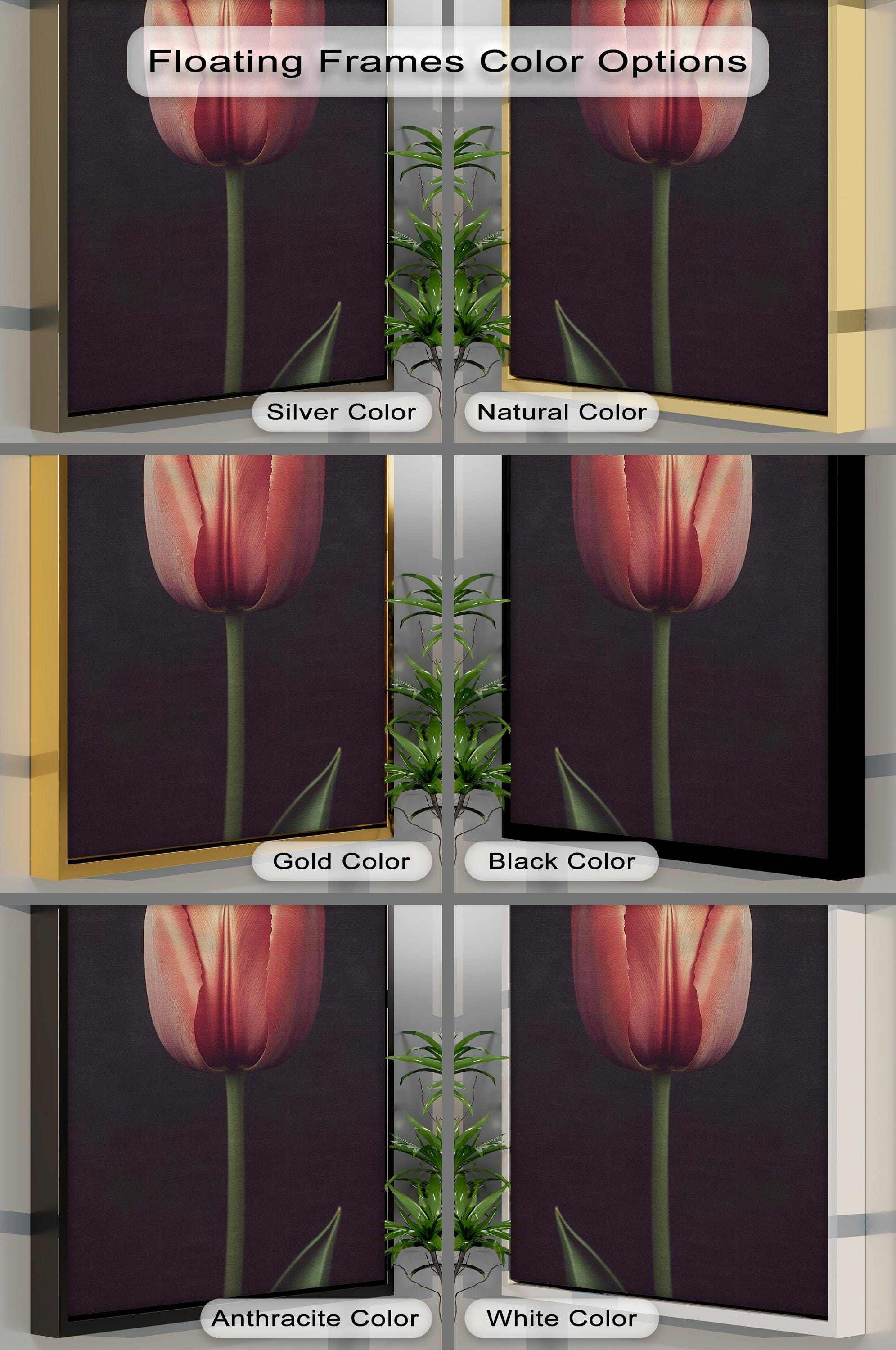 Red Tulip Wall Art – Elegant Botanical Canvas Print With White Floating ...