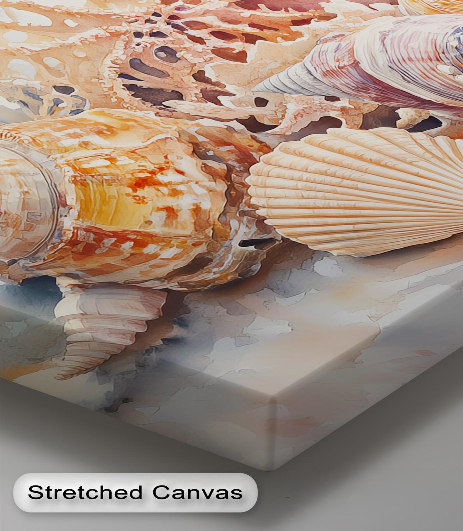 Seashell Collection Canvas Wall Art, Beach Shell Poster, Canvas ...