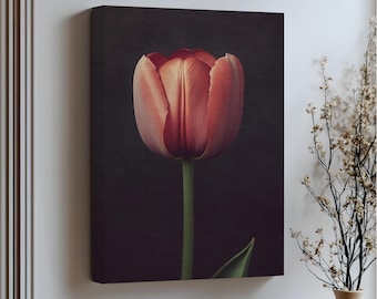 Red Tulip Wall Art – Elegant Botanical Canvas Print with White Floating Frame, Minimal Modern Flower Artwork for Living Room & Bedroom