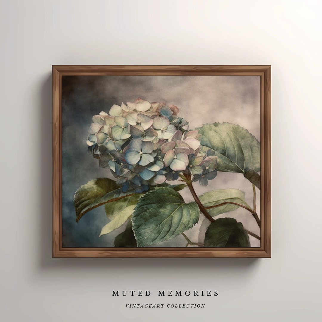 Muted Vintage Moody Hydrangea Watercolor Art Print Flower - Etsy