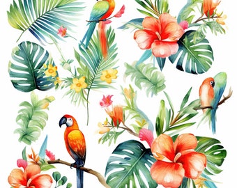 Clipart floral aquarelle tropicale - fleurs exotiques d'été et feuilles PNG à téléchargement numérique pour créations manuelles et conception