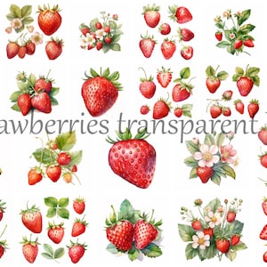 Cliparty truskawki akwarelowe, clipart truskawki, truskawka transparentne png, clipart owocowy, png owocowy, clipart akwarelowy, png akwarelowy