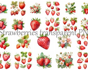 Pacchetto di clipart di fragole ad acquerello, frutta PNG (download digitale)