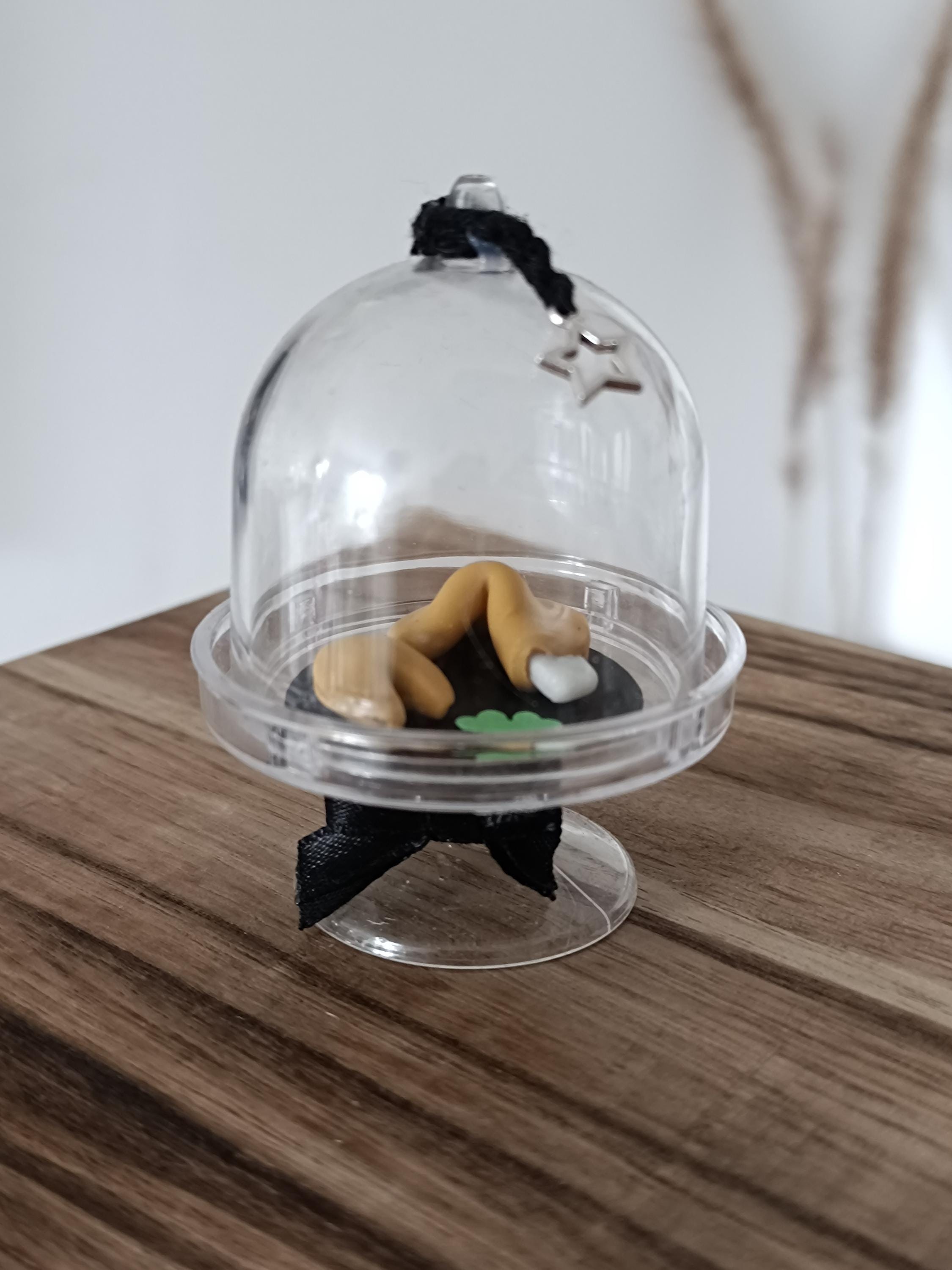 Jolie cloche à fromage/gâteau, vintage en verre