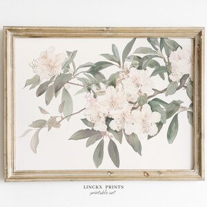 Botanical print - White pink rhododendron Flowers Poster, Nature Still Life Painting, Botanical Illustration, Blooming Wall Decor - bot16