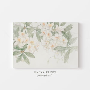 Botanical print - White pink rhododendron Flowers Poster, Nature Still Life Painting, Botanical Illustration, Blooming Wall Decor - bot15