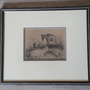 Beautiful Antique Etching on Paper by British Artist Thomas George Cooper (1836-1901)