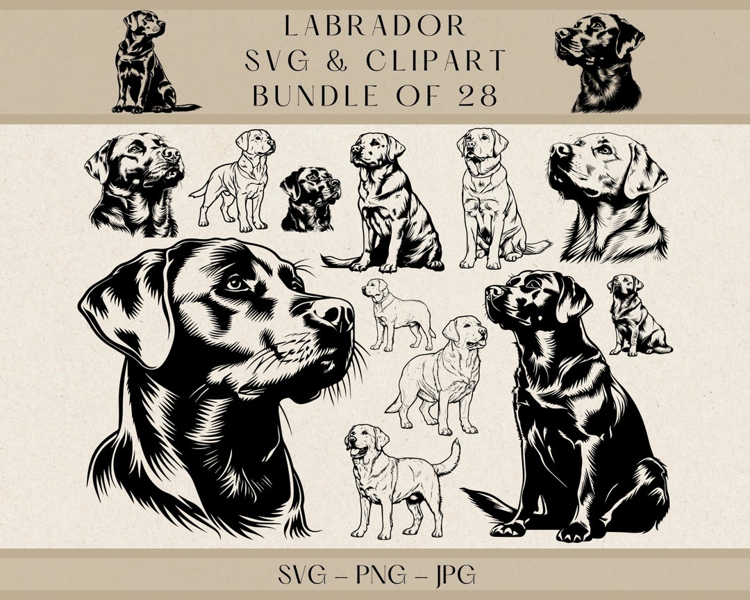 Lab Pit Mix Svg Labrador SVG Clipart Bundle: 28 Dog Vector Designs (digital Download ...