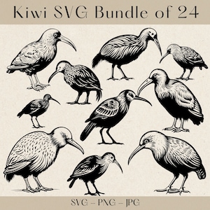 Kiwi SVG, Kiwi Bird svg, Kiwi Bird svg bundle, Kiwi svg bundle, Kiwi clipart, Kiwi Bird Clipart, Kiwi Bird svg files for cricut, Kiwi art