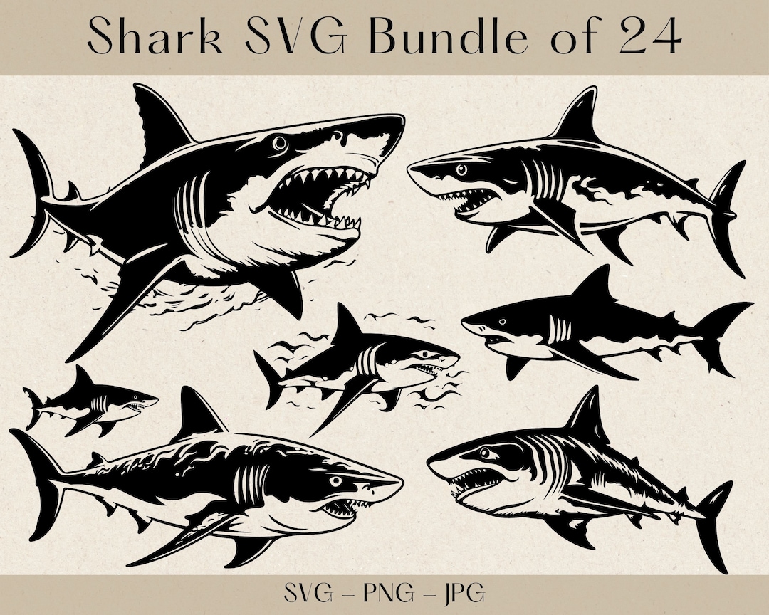 Shark SVG Bundle, Shark SVG, Shark Clipart, Shark Png, Ocean Svg, Shark