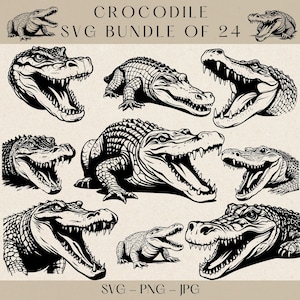 Krokodil Vektor, Krokodil svg, Krokodil Clipart, Krokodil Png, Krokodil Silhouette, Alligator SVG, Alligator Clipart, Alligator Vektor