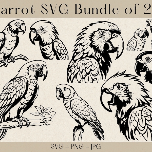 Parrot SVG Bundle, Parrot svg, Parrot Clipart, Parrot silhouette, Parrot cut file, Bird svg, Tropical Clipart, Exotic bird svg, Parrot png