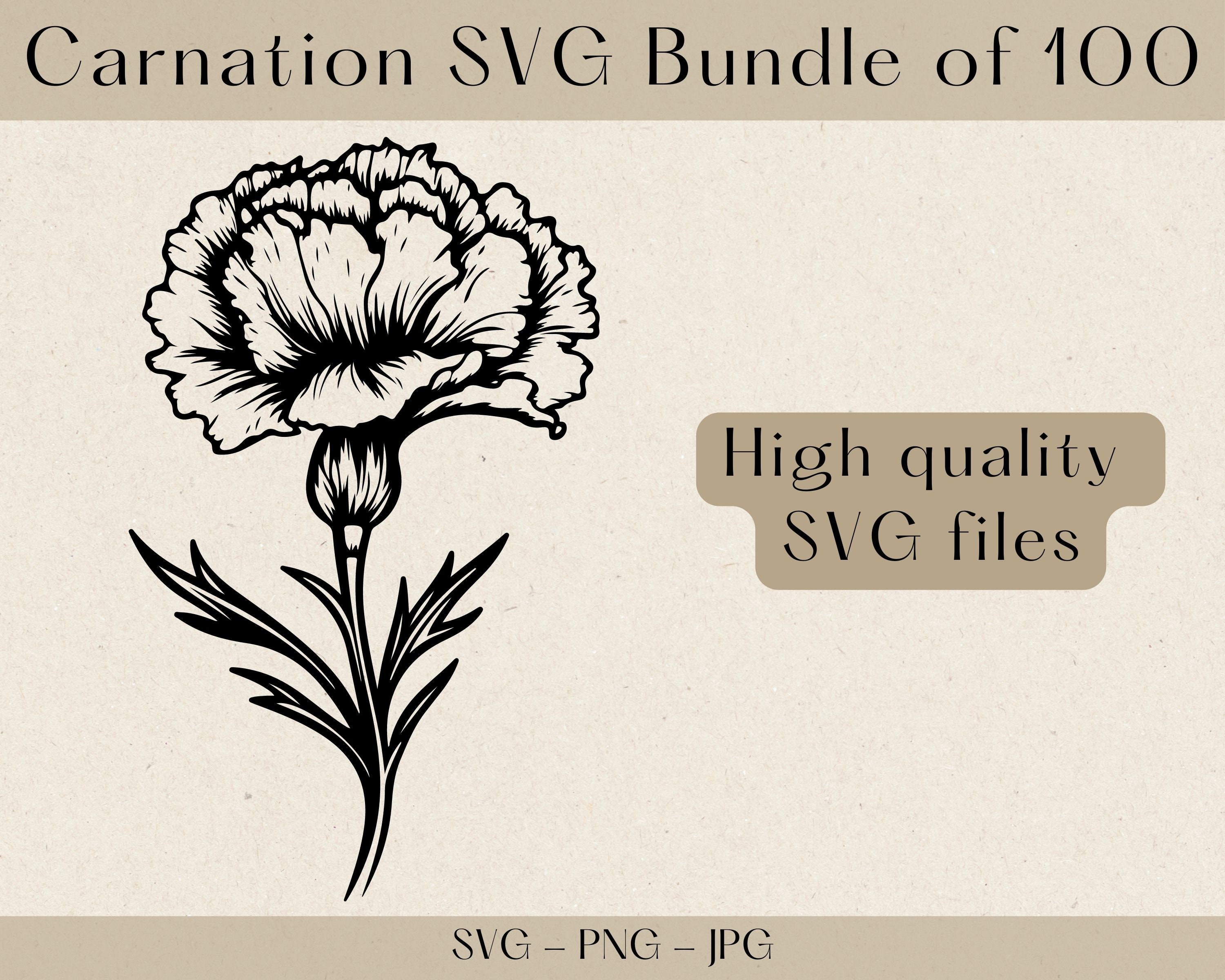 Carnation SVG Bundle Carnation SVG Carnation Flower Svg Etsy