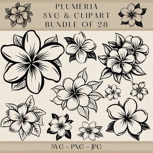 Plumeriabloem SVG-clipartbundel: tropische bloemmotieven (digitale download)
