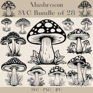 Mushroom SVG, Mushroom SVG Bundle, Mushroom PNG, Mushroom Clipart,  Mushroom Svg cut files for cricut, Magic Mushroom Svg, Fungi Clipart
