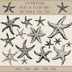 Starfish SVG Clipart Bundle: 26 Marine Life Designs (Digital Download)