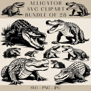 Alligator SVG, Alligator Png, Alligator Clipart, Alligator Vektor, Alligator Silhouette, Alligator geschnitten Dateien, Krokodil SVG, Krokodil Png