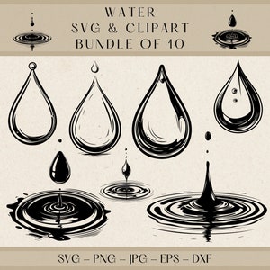 Waterdruppel SVG-clipart: natuurillustratieontwerpen (digitale download)