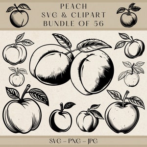 Peach Svg, Peach Png, Peach Clipart, Peach Vector, Peach Silhouette, Fruit Svg, Fruit Svg Cut Files for Cricut, Fruit Clipart, Fruit Vector