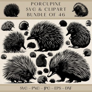 Porcupine SVG Clipart Bundle: 46 Wildlife Designs (Digital Download)