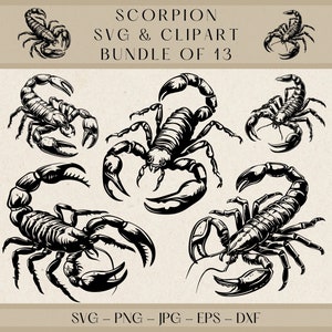 Scorpion SVG, Scorpion Clipart, Scorpion Png, Scorpion Vector, Scorpion Silhouette, Insect SVG, Scorpion Design, Arachnid Svg