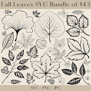 Herbst Blätter SVG, Herbst Blätter SVG, Herbst Blatt SVG, Herbst SVG, Herbst Blatt SVG Bundle, Herbst SVG, Ahornblatt SVG, Blätter SVG, Glowforge Dateien