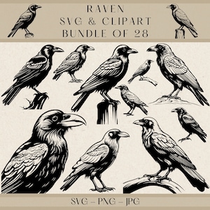 Raven SVG, Raven Png, Raven Vector, Raven Clipart, Raven Silhouette, Crow SVG, Crow Png, Crow Vector, Crow Clipart, Bird Svg, Bird Clipart