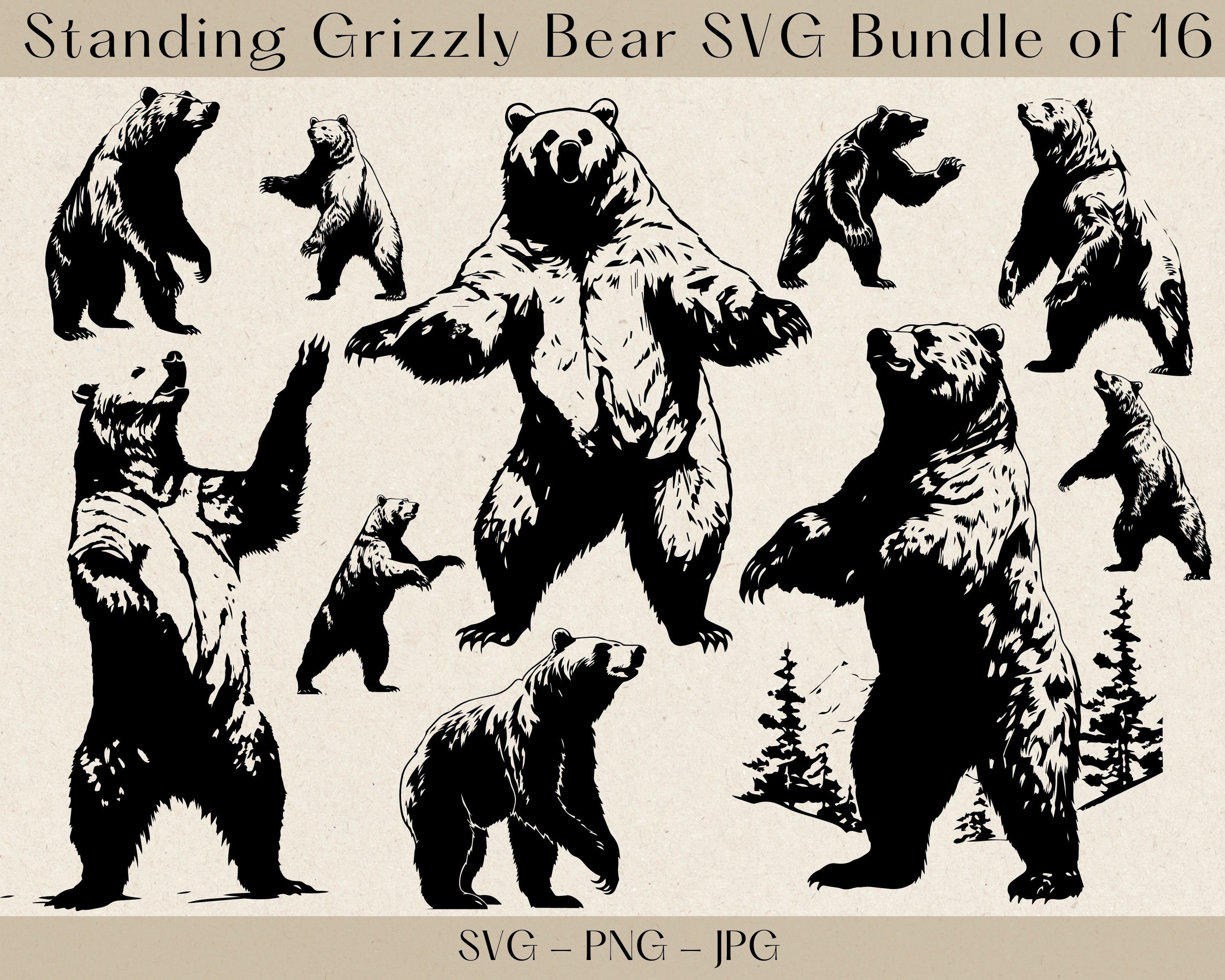 Standing Bear SVG, Grizzly Bear SVG, Bear SVG, Bear svg bundle, Bear png, Bear Clipart, Svg files for cricut, Bear silhouette, Bear cut file