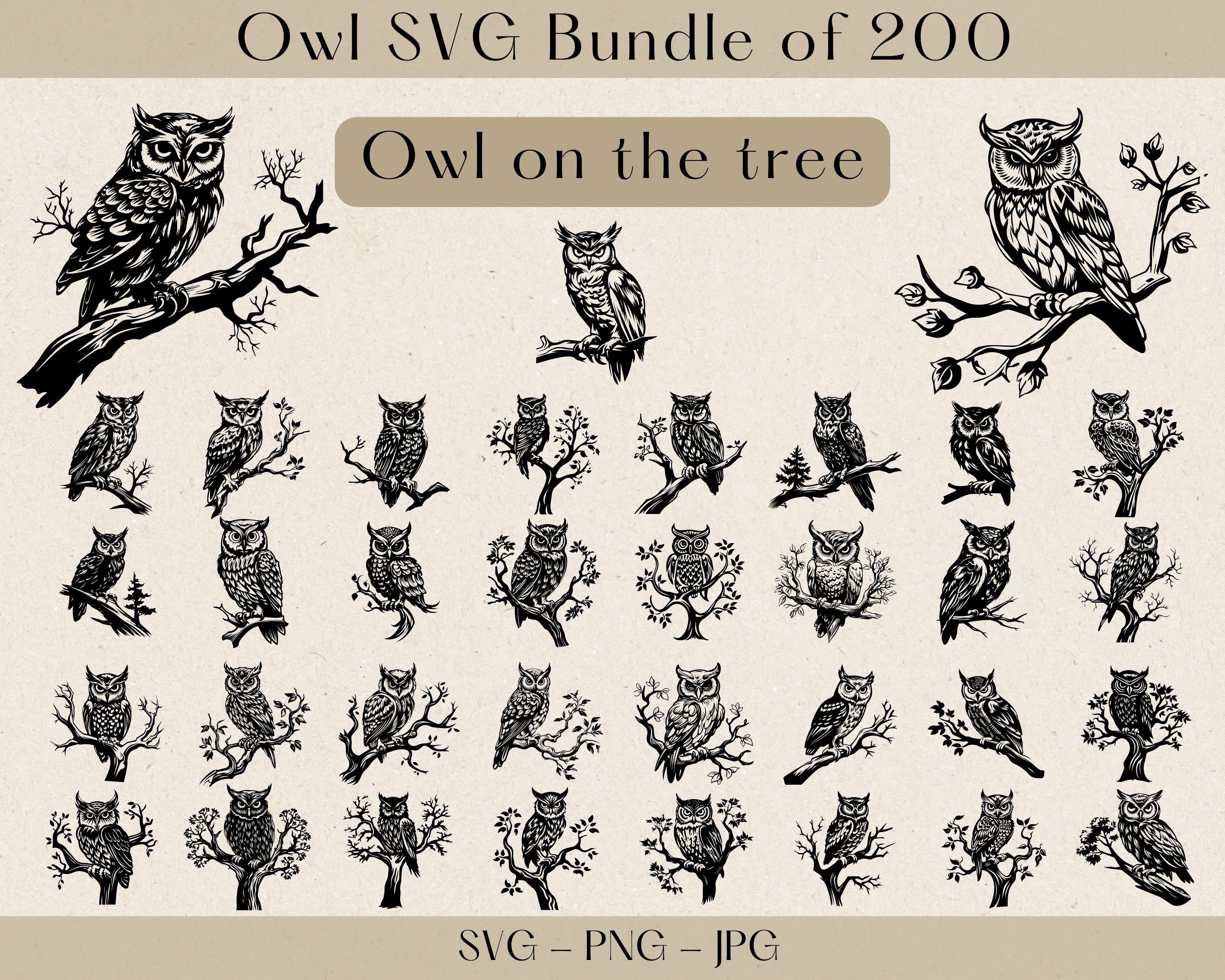 Owl SVG Bundle Owl SVG Owl Clipart Owl PNG Owl Silhouette - Etsy
